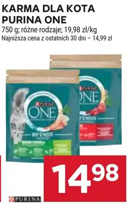 Stokrotka Karma dla kota Purina One oferta