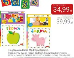 Smyk Książka Akademia Mądrego Dziecka, Poznajemy świat, różne rodzaje oferta