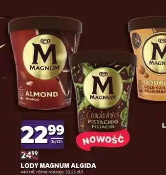 Lody Magnum Pistachio Algida
