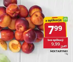 Stokrotka Market Nektarynki oferta