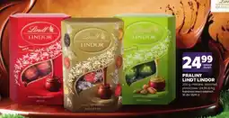 Stokrotka Praliny Lindor oferta
