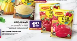 Stokrotka Kisiel Winiary smak malinowy oferta