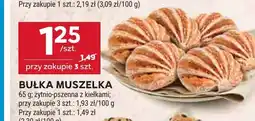 Stokrotka Bułka muszelka oferta