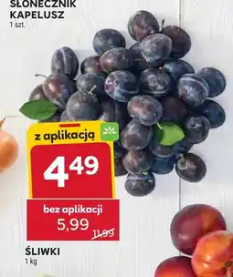 Stokrotka Śliwki oferta