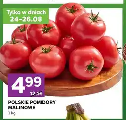 Stokrotka Pomidory malinowe polskie oferta
