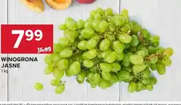 Stokrotka Winogrona jasne oferta
