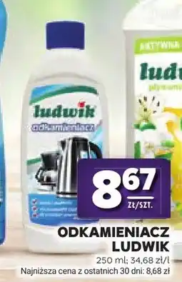 Stokrotka Odkamieniacz Ludwik oferta