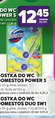 Stokrotka Kostka do WC Domestos Power 5 2-pak oferta