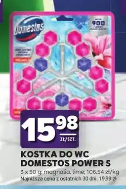 Stokrotka Kostka do WC Domestos Power 5 3-pak oferta