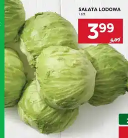 Stokrotka Sałata lodowa oferta
