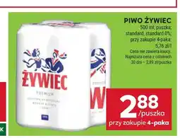 Stokrotka Piwo Żywiec Premium 4-pak oferta