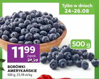 Borówki amerykańskie