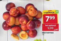Stokrotka Nektarynki oferta