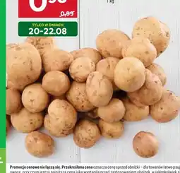 Stokrotka Ziemniaki wczesne oferta
