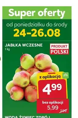 Stokrotka Jabłka wczesne oferta