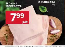 Stokrotka Słonina wieprzowa oferta