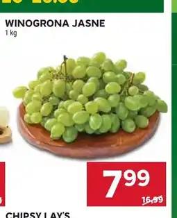 Stokrotka Winogrona jasne oferta