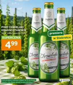 Stokrotka Piwo Chmielaki Krasnostawskie Jagiełło oferta