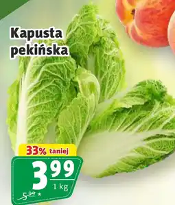 Prim Market Kapusta pekińska oferta