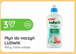Eurocash Cash & Carry Płyn do naczyń Ludwik oferta