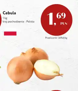Market Point Cebula polska oferta