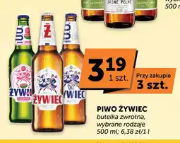 ABC Piwo Żywiec Premium oferta