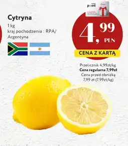 Market Point Cytryna RPA Argentyna oferta