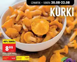 Biedronka Kurki, opak oferta