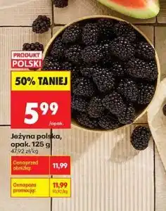 Biedronka Jeżyna polska, opak oferta