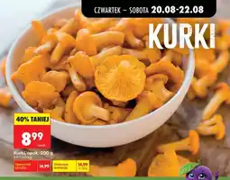 Biedronka Grzyby kurki świeże oferta