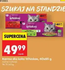 Biedronka Karma dla kota Whiskas 40-pak oferta