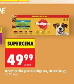 Biedronka Karma dla psa Pedigree 40-pak oferta