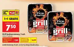 Biedronka Grill jednorazowy Picknick oferta