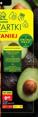 Biedronka Awokado dojrzałe oferta