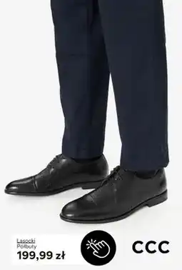 CCC Półbuty Lasocki oferta