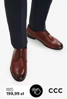 CCC Półbuty Lasocki oferta