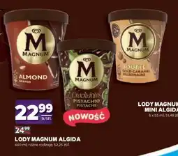 Stokrotka Market Lody MAGNUM ALGIDA oferta
