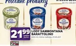 Stokrotka Market Lody Sammontana Barattolino oferta