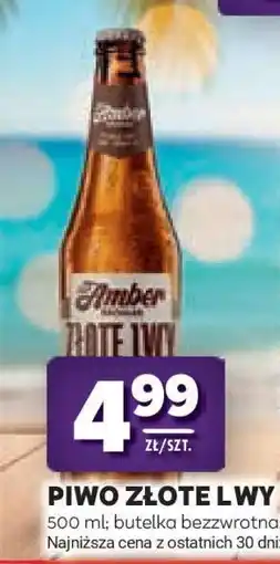 Stokrotka Market Piwo Złote Lwy oferta