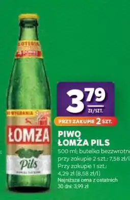 Stokrotka Market PIWO ŁOMŻA PILS oferta