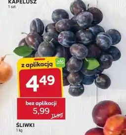 Stokrotka Market Śliwki oferta