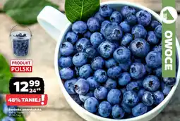 Netto Borówka amerykańska Polski oferta