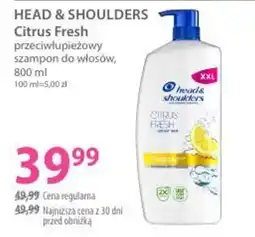Hebe HEAD & SHOULDERS Citrus Fresh przeciwłupieżowy szampon do włosów oferta