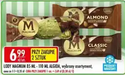 Sklepy Doroty Lody Magnum oferta