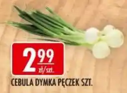 Sklepy Doroty Cebula Dymka Pęczek oferta