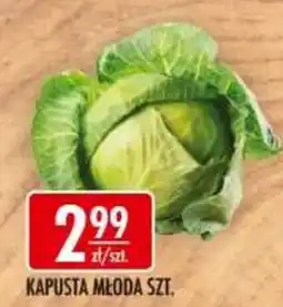 Sklepy Doroty Kapusta Młoda Szt. oferta