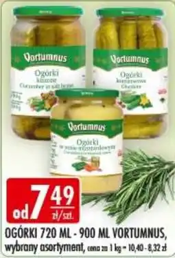 Sklepy Doroty Ogórki Vortumnus oferta