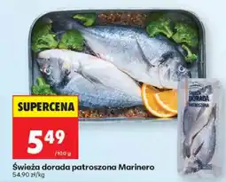 Biedronka Świeża dorada patroszona Marinero oferta