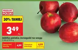 Biedronka Jabłko polskie Jonagold oferta