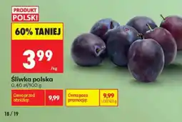 Biedronka Śliwka polska oferta